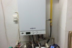 fotka125326ff1fee40d-768x1024